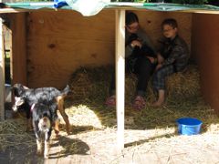 Callie, Conrad and Goats