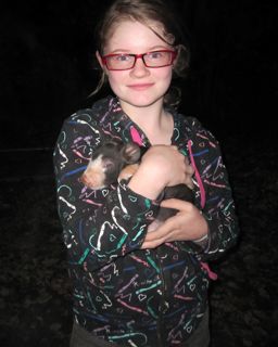 Violet and Pigs